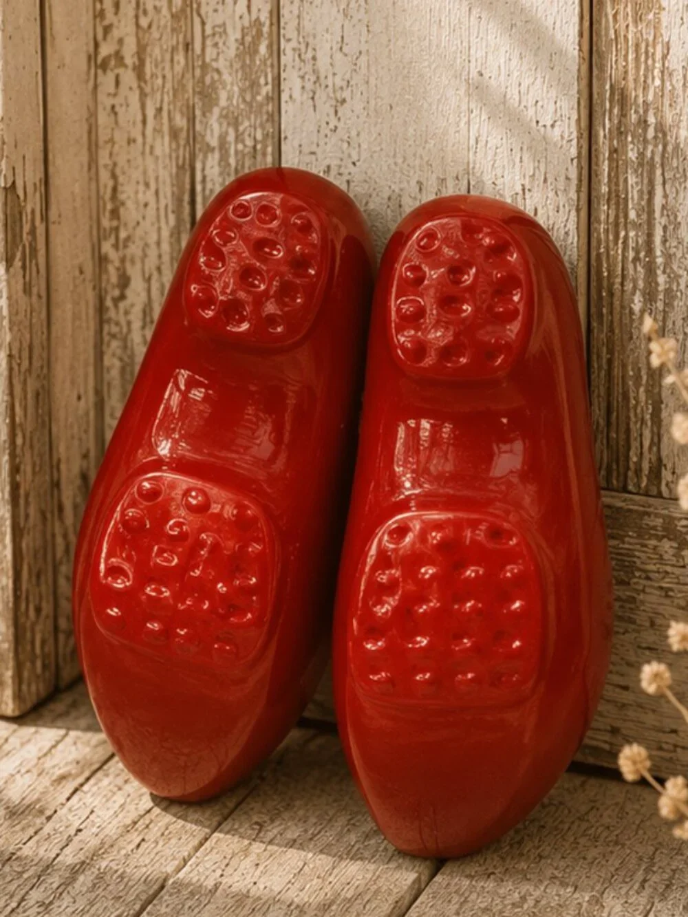 Vintage Amsterdam Coat of Arms Crest Collectible Wooden Shoes